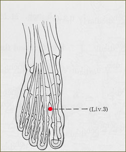 lv3a